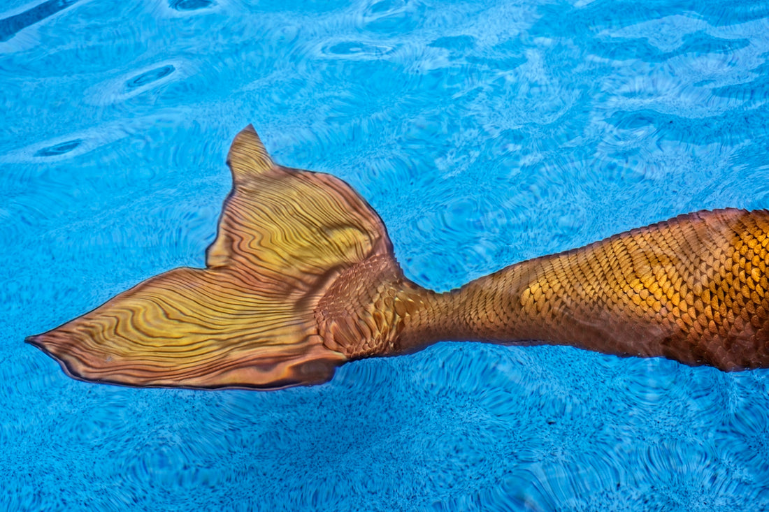 close-up photo of brown mermaid tail