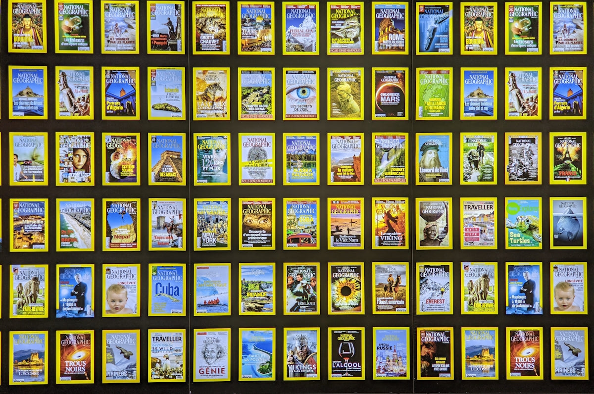 white and black abstract painting