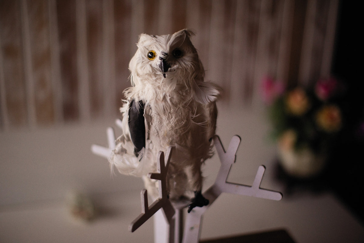 a toy owl sitting on top of a wooden stand