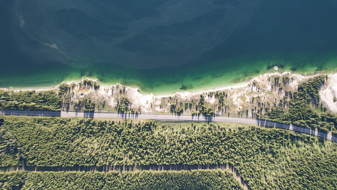 a landscape with trees and a hill with a building on it