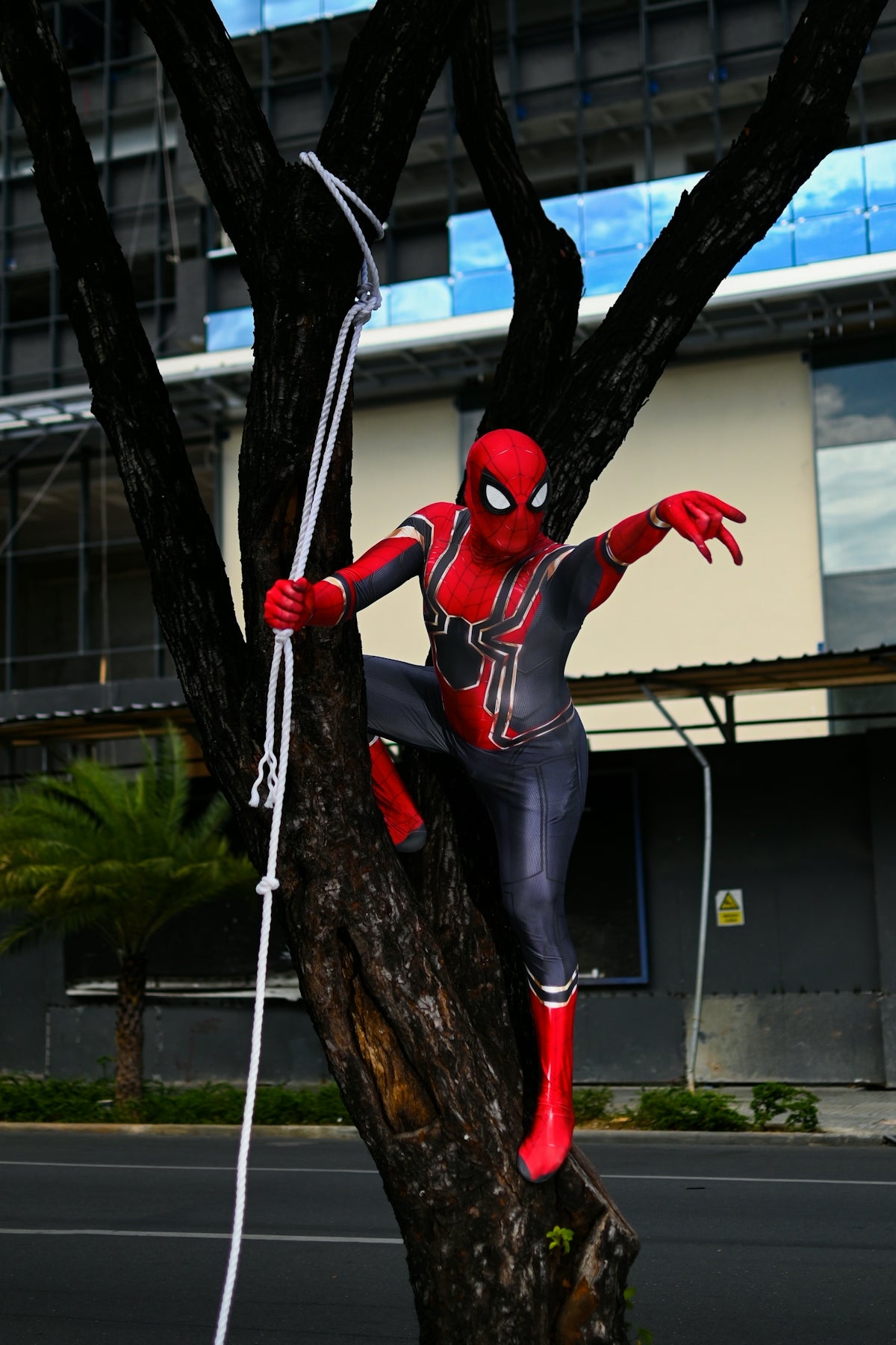 a man in a spiderman costume is climbing a tree