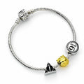 Harry Potter silver charm armband