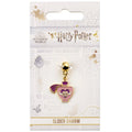 Harry Potter Kärleksdryck slider charm