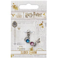 Harry Potter Luna Glasögon slide charm