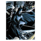 DC Comics Batman Glasposter 30x40cm