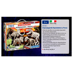 Predators and Prey Archeology - Spännande Lärande För Barn