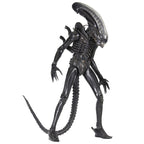 Alien Ultimate Big Chap 40-årsjubileum 56 cm rörlig SDCC-figur