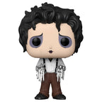 Funko POP vinyl figure 9cm in window gift box.