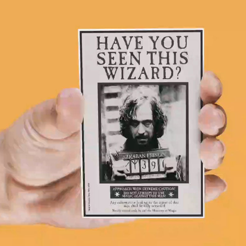 Harry Potter set med 4 assorterade lentikulära magneter