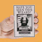 Harry Potter set med 4 assorterade lentikulära magneter