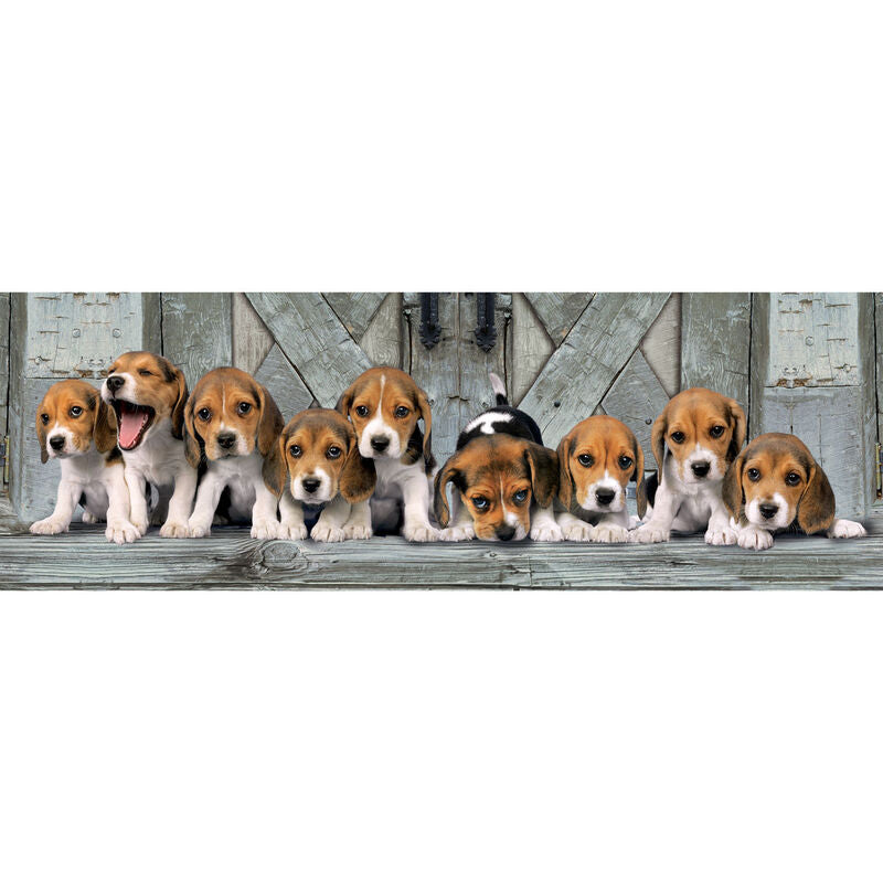 Beagles Panorama pussel 1000 bitar