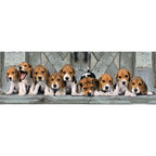 Beagles Panorama pussel 1000 bitar
