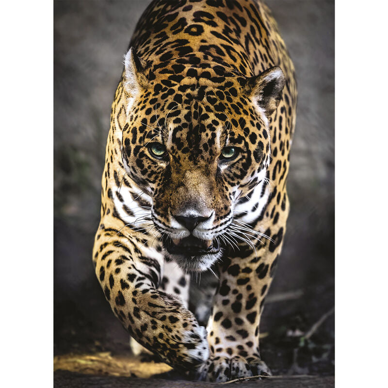 Walk of the Jaguar Pussel 1000 bitar