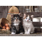 Lovely Kittens pussel 1000 bitar