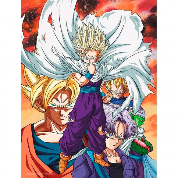 Dragon Ball Z Heroes vs Cell Glas Poster 30x40cm
