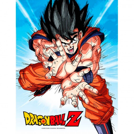 Dragon Ball Z Goku Kame Glass Poster 30x40cm