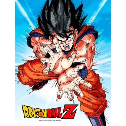 Dragon Ball Z Goku Kame Glass Poster 30x40cm