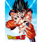 Dragon Ball Z Goku Kame Glass Poster 30x40cm
