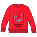Naruto Kakashi Barn Sweatshirt Storlek 6