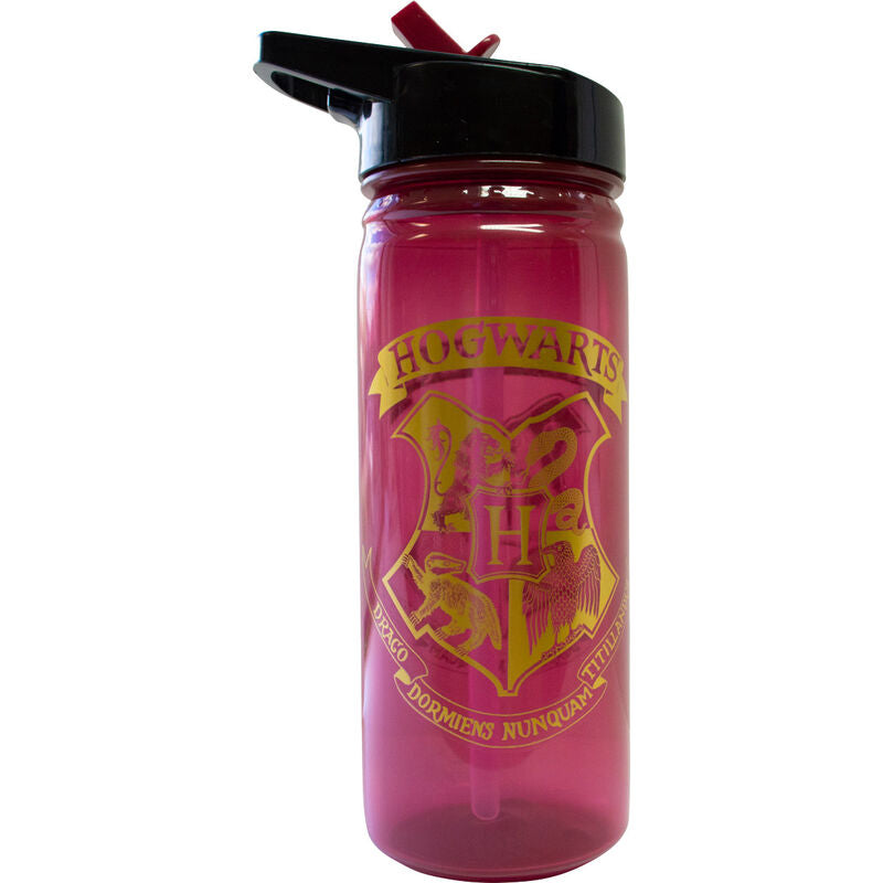 Harry Potter Hogwarts Flaska 600ml