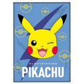 Pokemon Pikachu Polar Filt