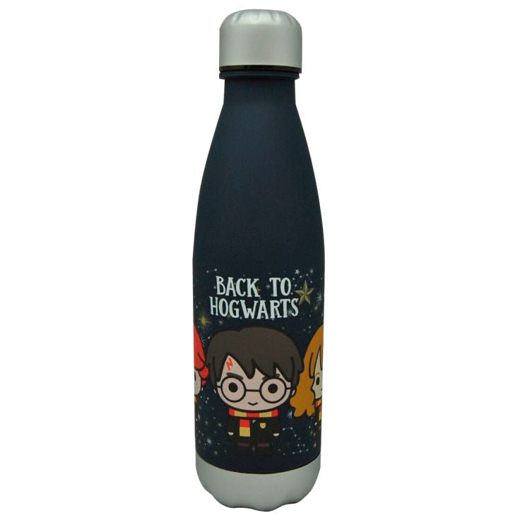 Harry Potter Tilbaka Till Hogwarts Flaska 650ml
