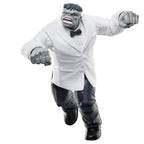 Marvel Legends Series: Joe Fixit och Patch Actionfigurer