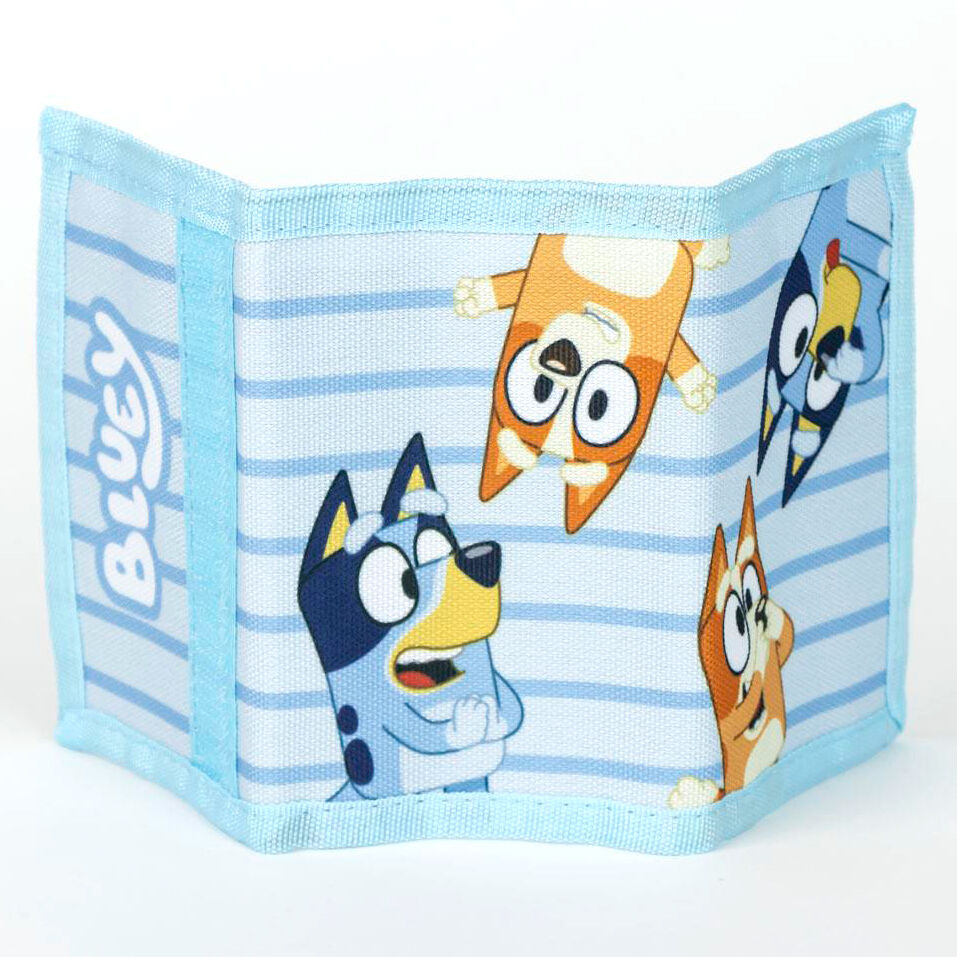 Bluey Set Solglasögon + Plånbok