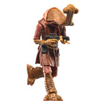Star Wars The Black Series Momaw Nadon Figur
