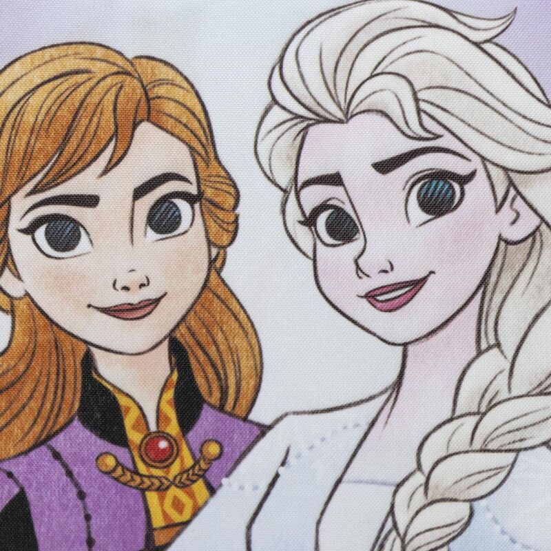 Disney Frozen Lunchväska