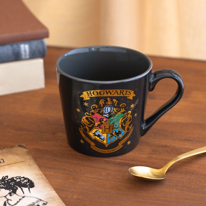 Harry Potter Hogwarts Premium Mug
