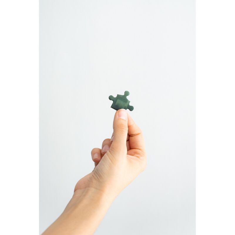 Harry Potter och Hemligheternas Kammare Pussel 500 bitar