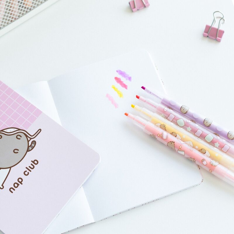 Pusheen Moments Skrivset
