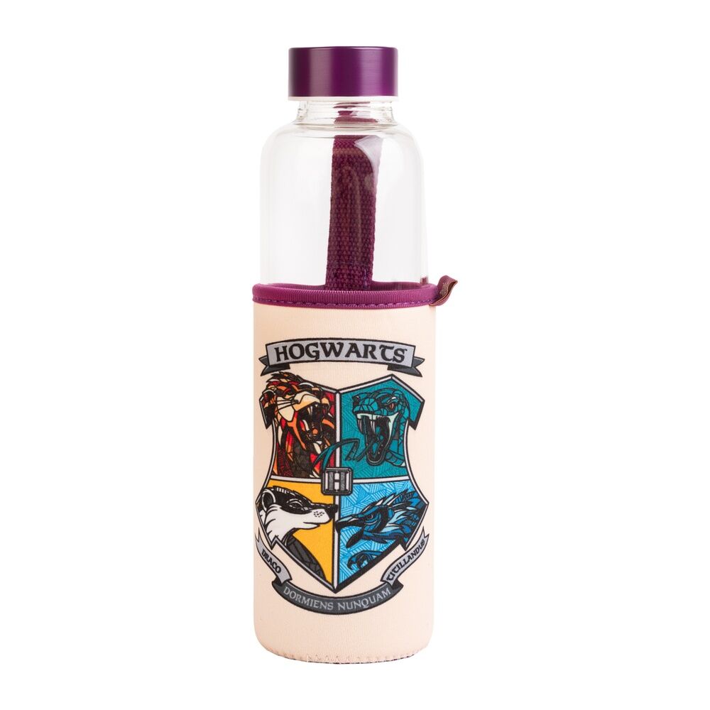 Harry Potter Hogwarts Glasflaska 500ml