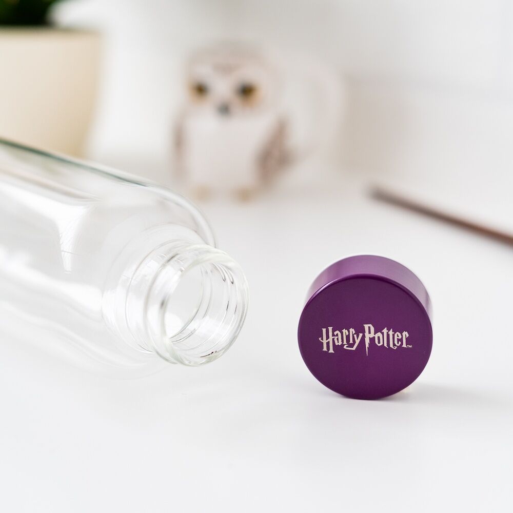 Harry Potter Hogwarts Glasflaska 500ml