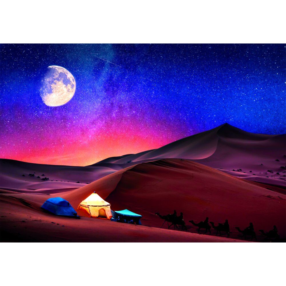 Starry Night Dream Pussel 500 Delar