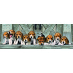 Högkvalitativ Beagle Panorama pussel 1000 bitar