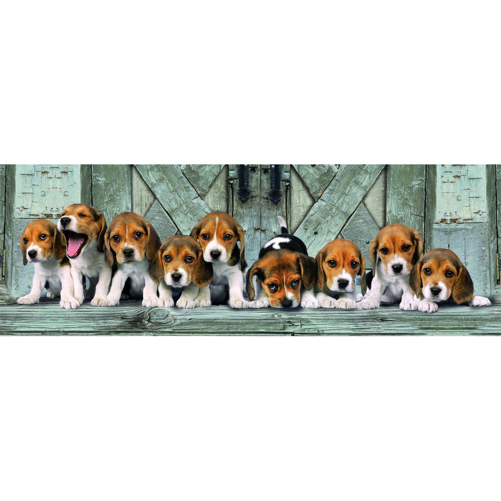Högkvalitativ Beagle Panorama pussel 1000 bitar