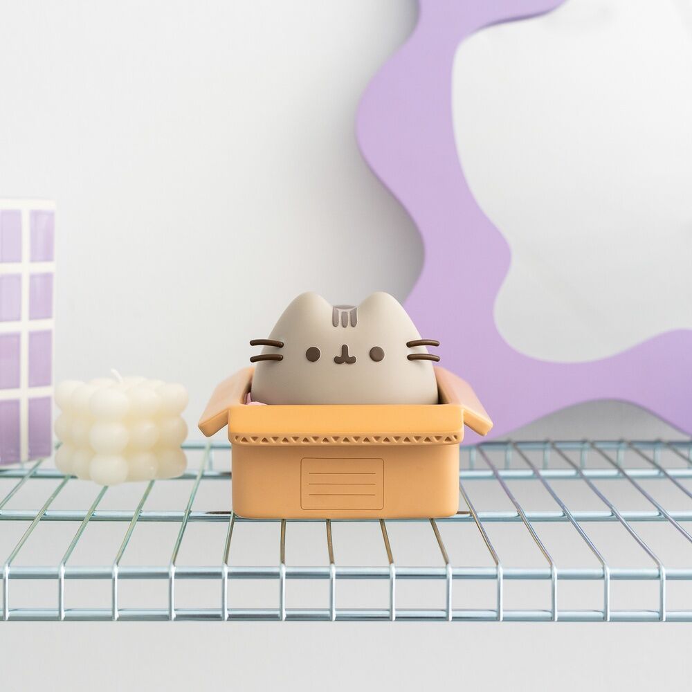Pusheen Sparbössa - Söt och Praktisk Förvaring