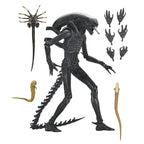 Alien: Romulus Xenomorph Ultimate Figur 18 cm