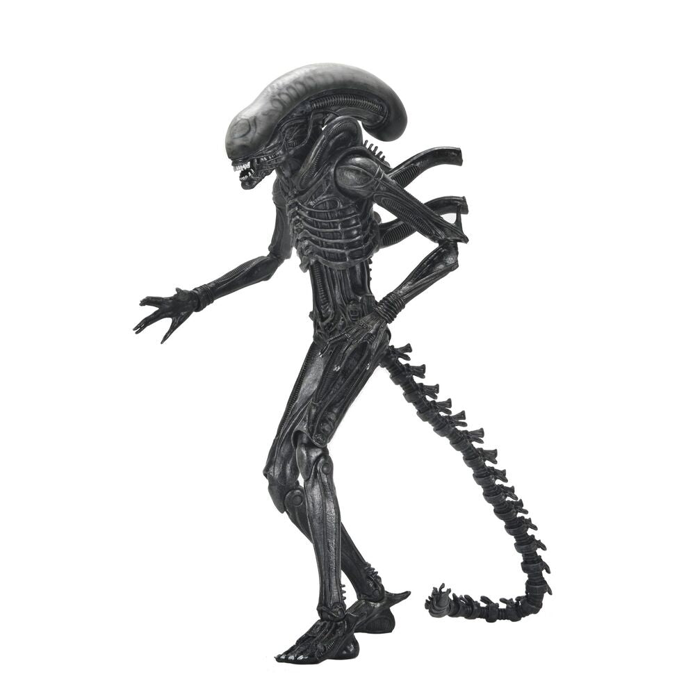 Alien: Romulus Xenomorph Ultimate Figur 18 cm