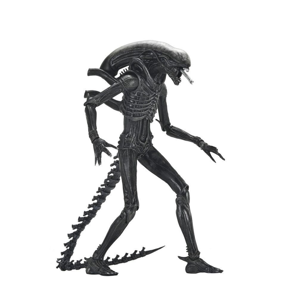 Alien: Romulus Xenomorph Ultimate Figur 18 cm
