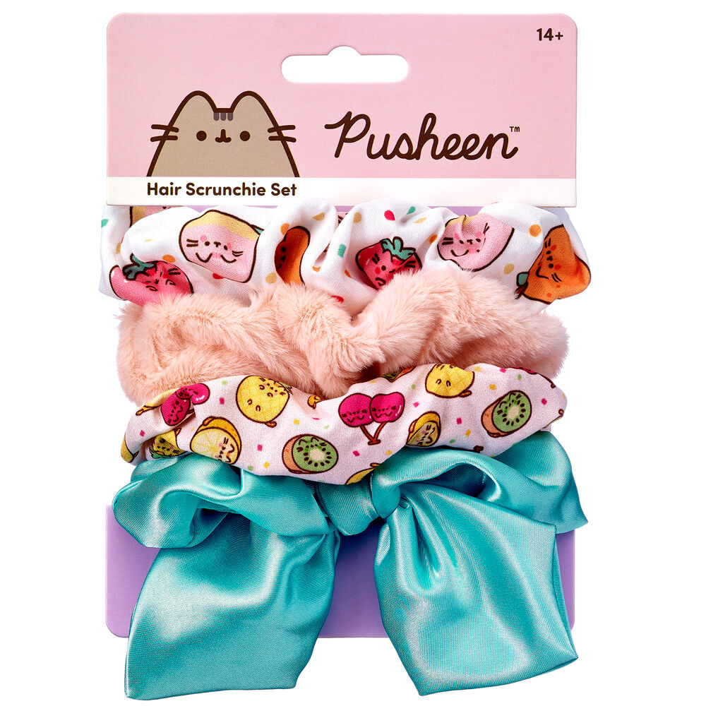 Pusheen Set med 4 Hårsnoddar