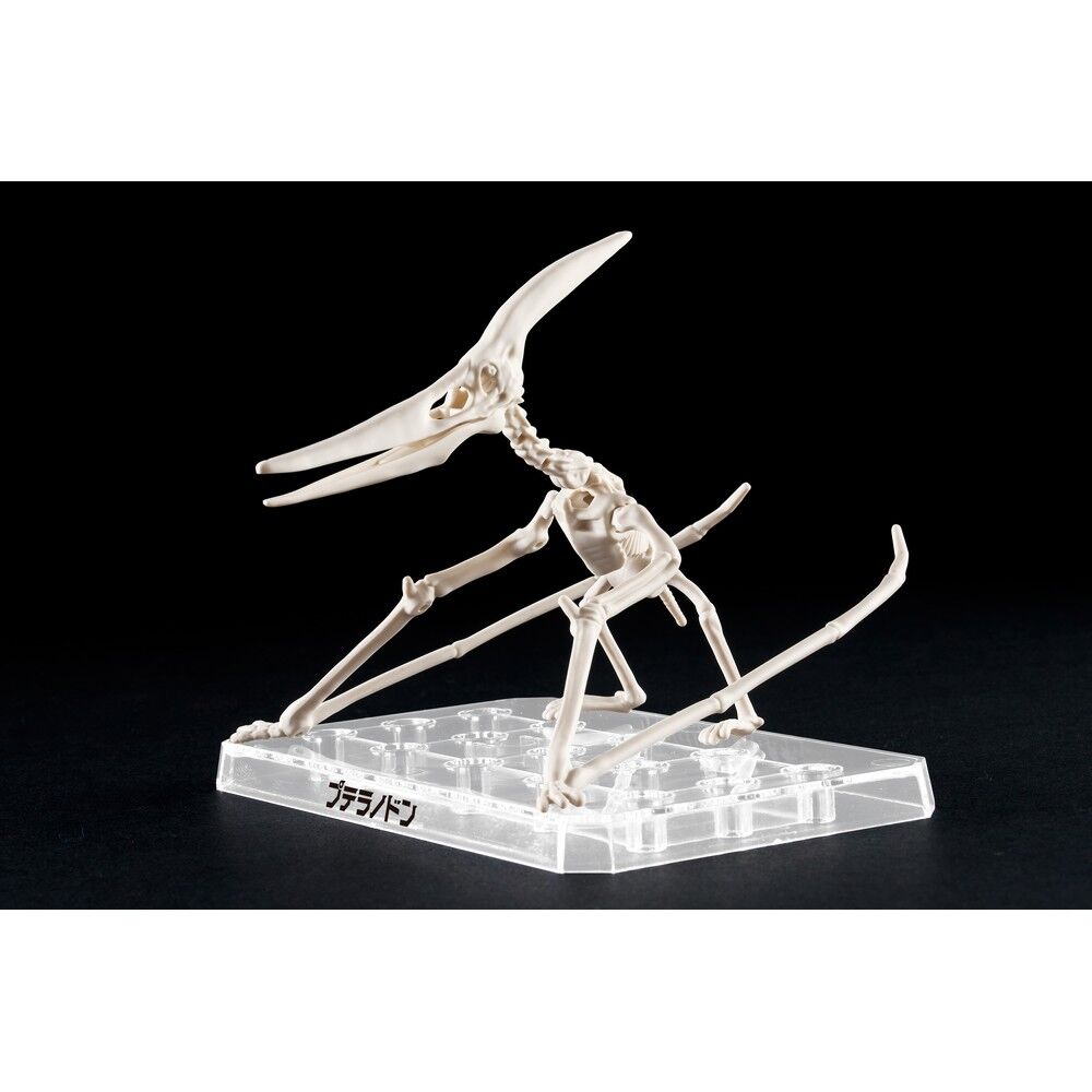 Plannosaurus Pteranodon Modellkit Figur