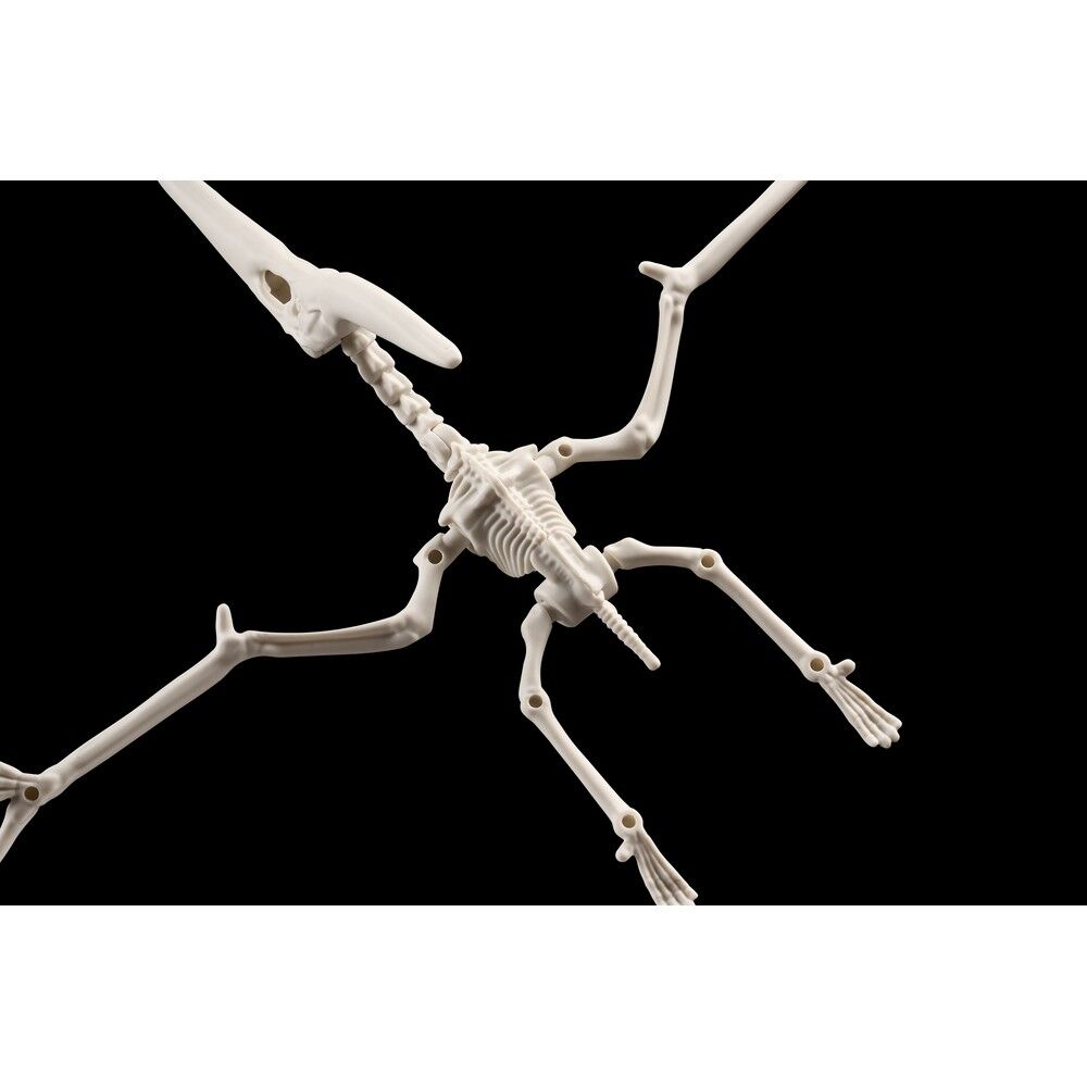 Plannosaurus Pteranodon Modellkit Figur