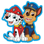 Paw Patrol 3D Kudde
