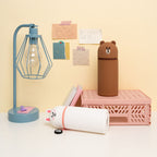 Line Friends Brown 3D Pennfodral