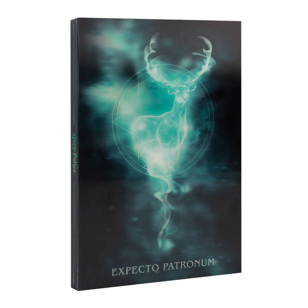 Harry Potter A5 Lenticular Anteckningsblock