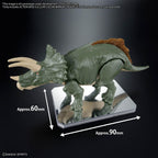 Display Stand Action Base 6 Klar med Spegelstickers