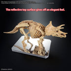 Display Stand Action Base 6 Klar med Spegelstickers